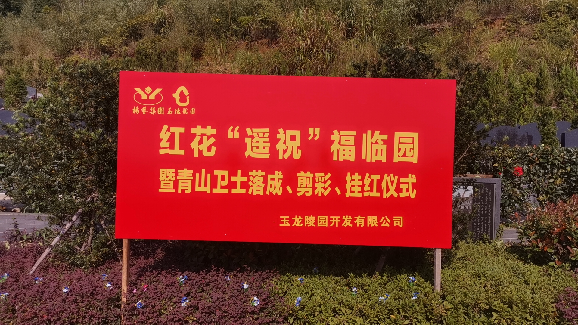 红花传爱意，情满玉龙园！