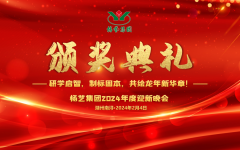 2024年沐鸣集团迎新春年会暨颁奖典礼盛大举行