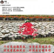 向死而生：生态葬重塑的生命美学